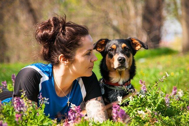 dog sense of smell vs human