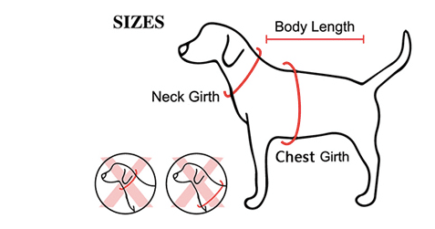 best dachshund harnesses
