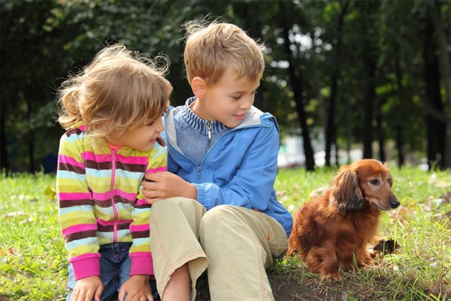 Children with a dachshund. Dachshund makes a good family dog for families with kids.