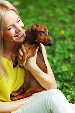 Smooth-haired dachshund with his owner.