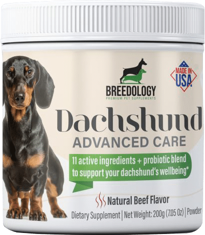dachshund advanced care